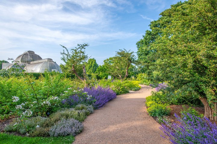 Kew Gardens Tickets - Photo 1 of 8